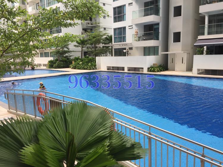 A Treasure Trove thumbnail photo